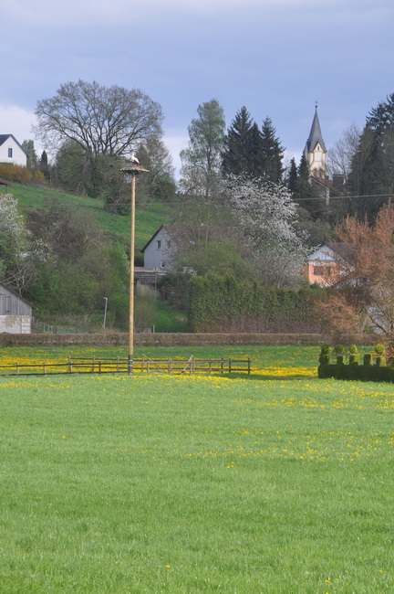 Bihlafingen
