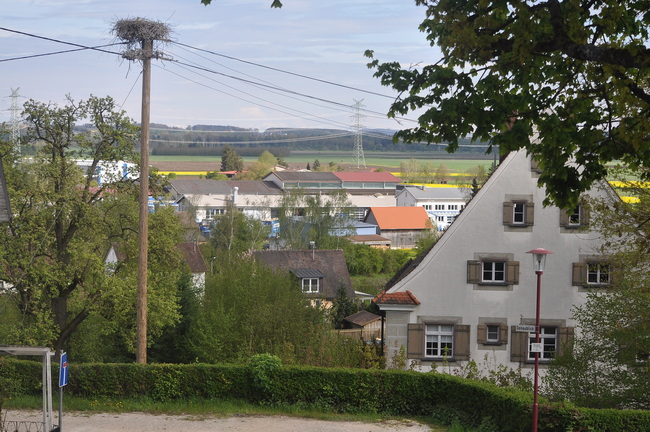 Binzwangen