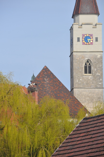 Ehingen Stadtmuseum