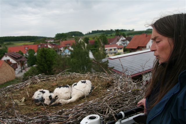 Fleischwangen 2010