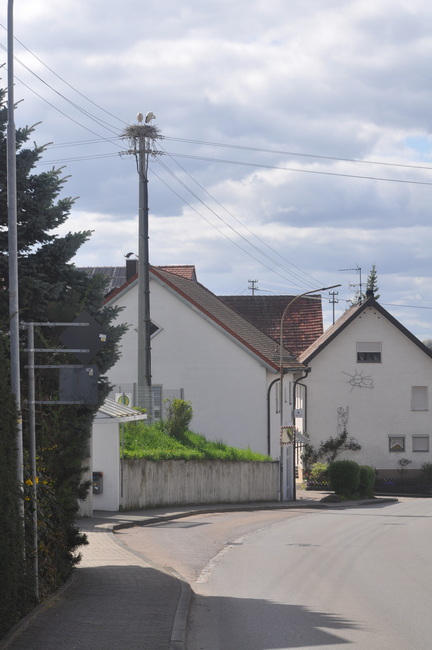 Oepfingen