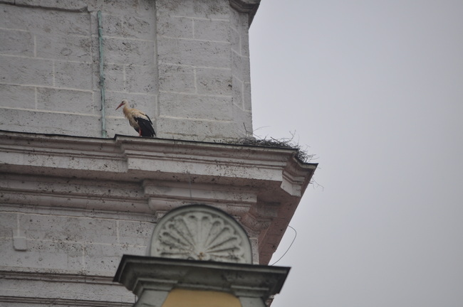 Zwiefalten Mnsterturm